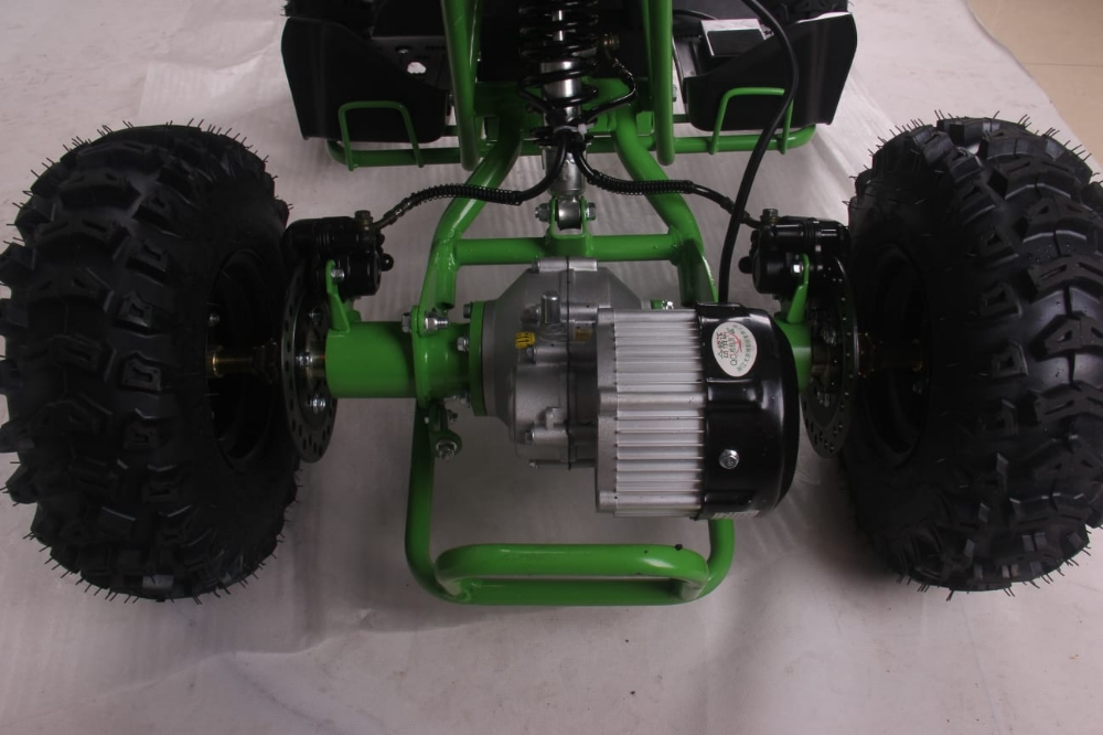 buggy electric atv Flushing - 8
