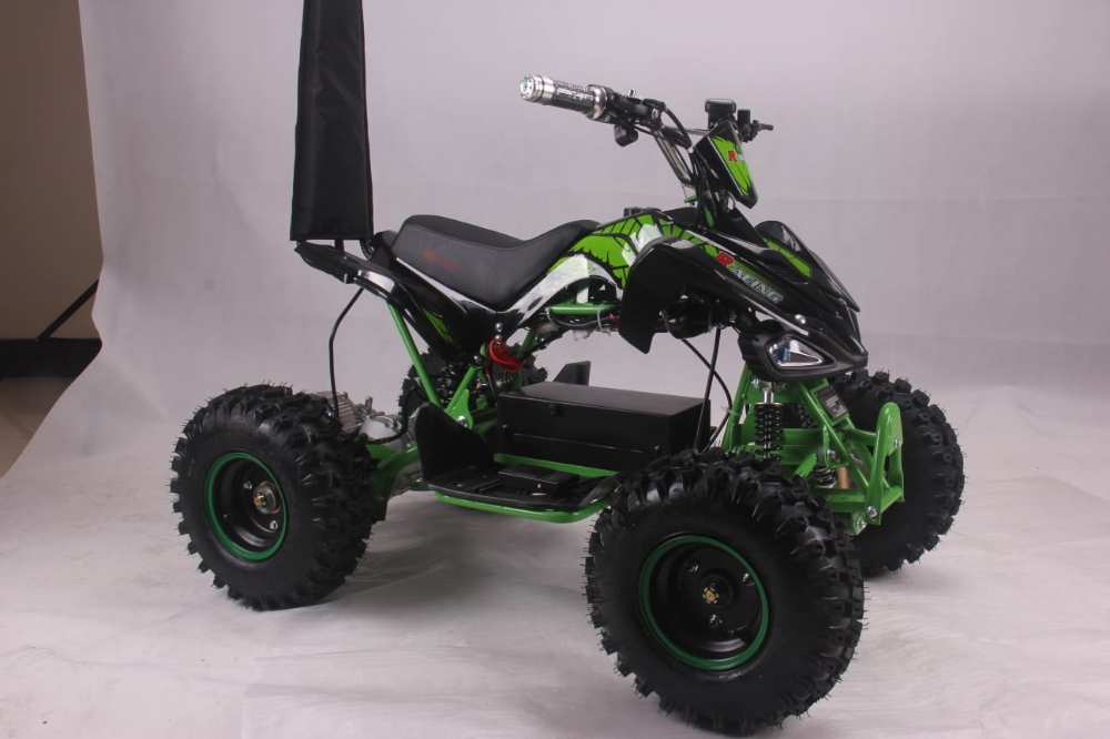 buggy electric atv Flushing - 5