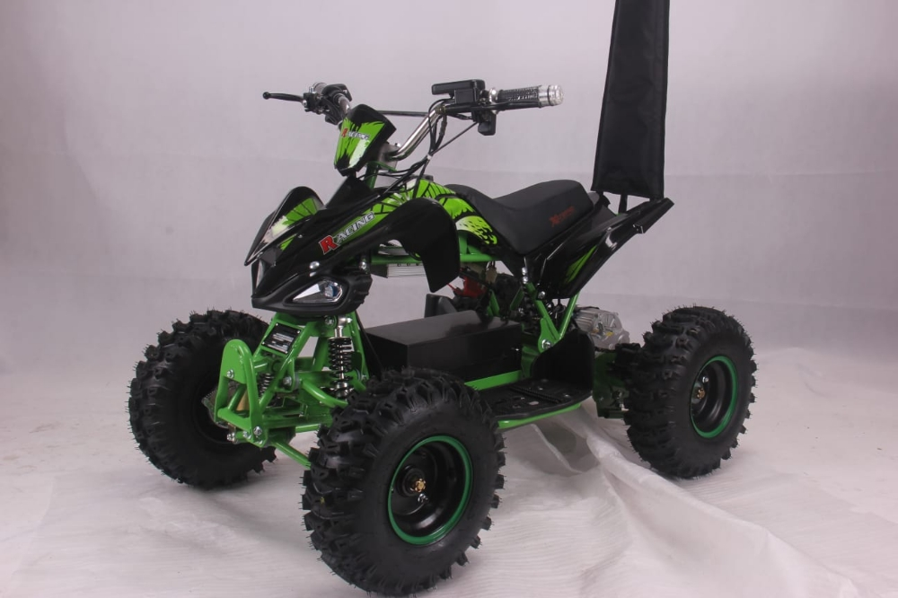 buggy electric atv Flushing - 9