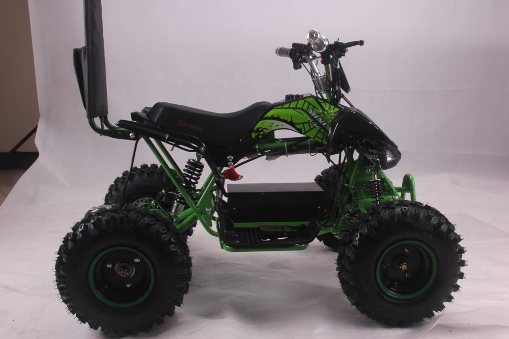 buggy electric atv Flushing - 6
