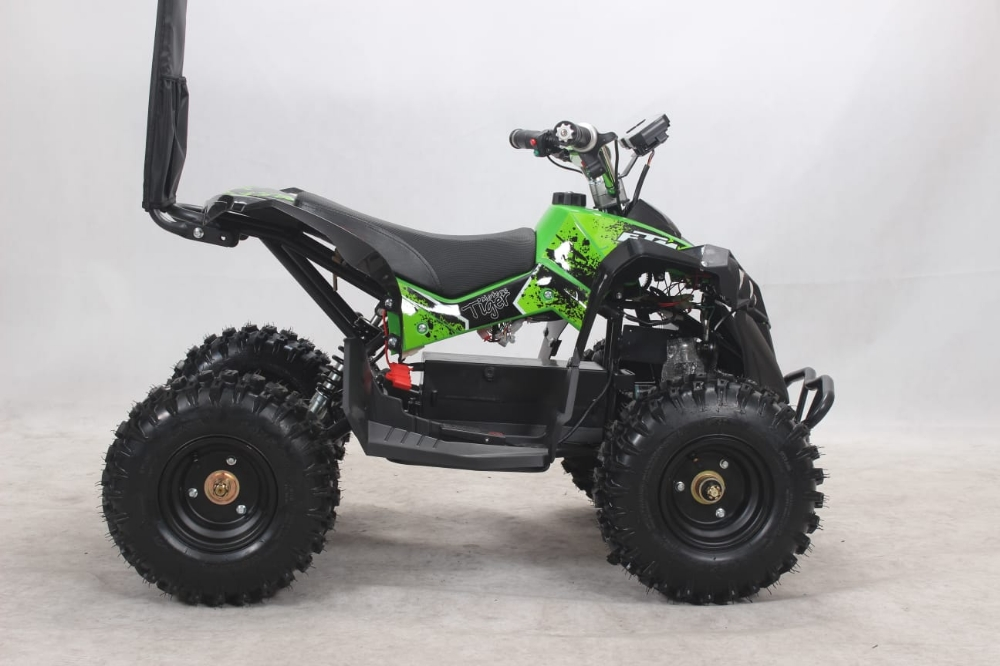 buggy electric atv Flushing big - 3