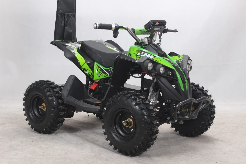 buggy electric atv Flushing big - 2