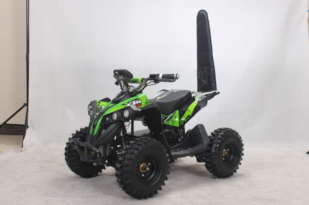 buggy electric atv Flushing big - 5