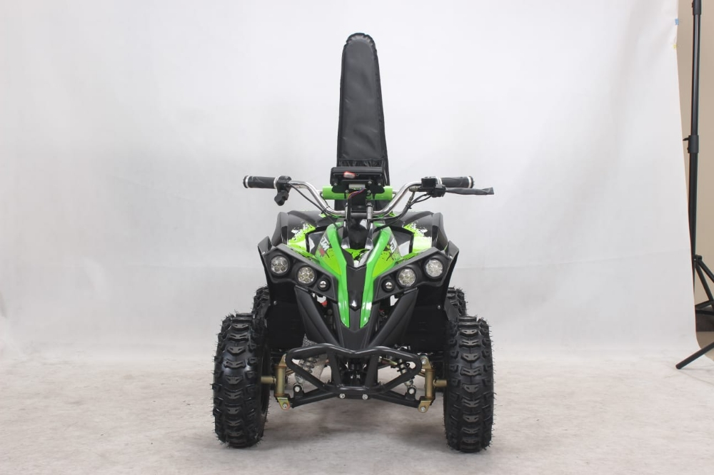 buggy electric atv Flushing big - 4