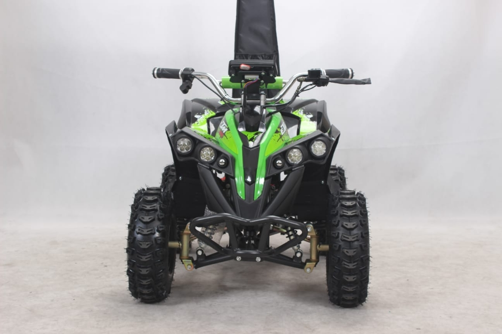 buggy electric atv Flushing big - 6