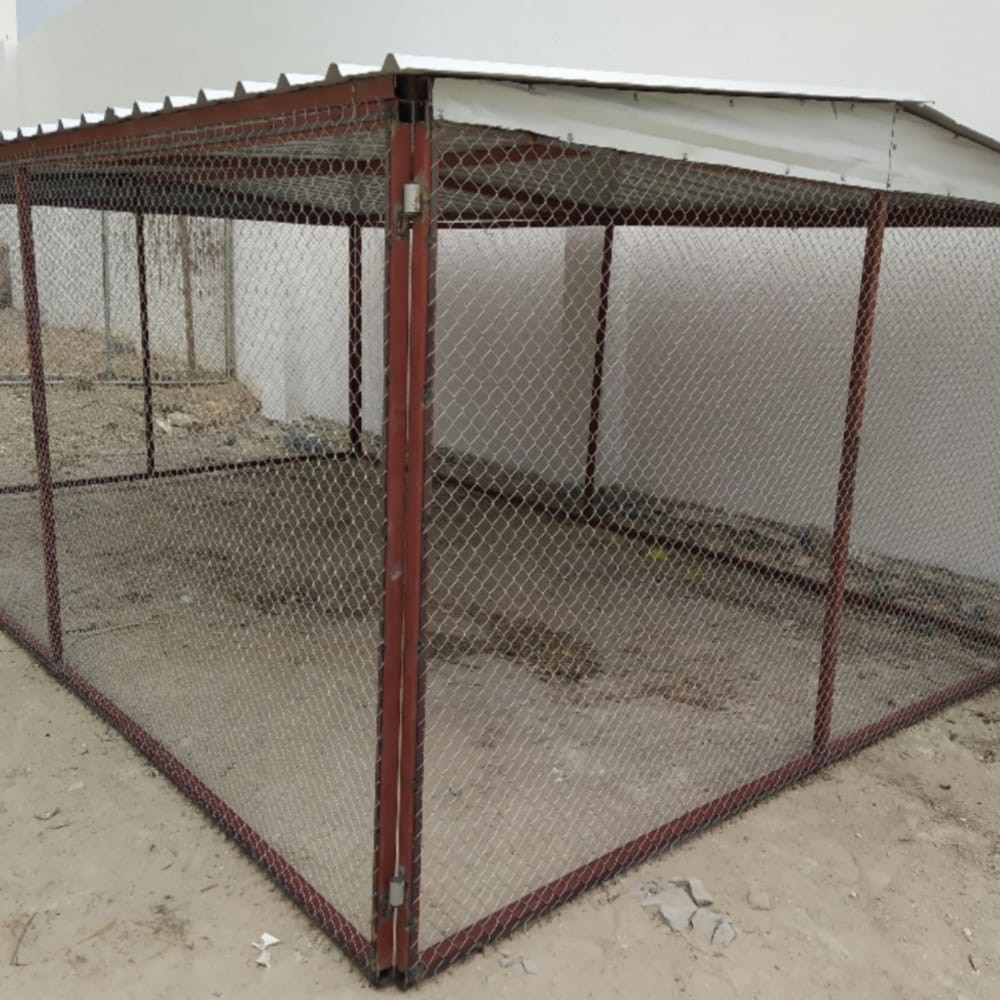 gofas Mal hamam / Pigeon coop - 3