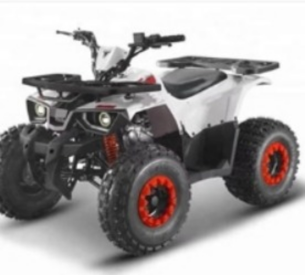 buggy 125 cc - 8