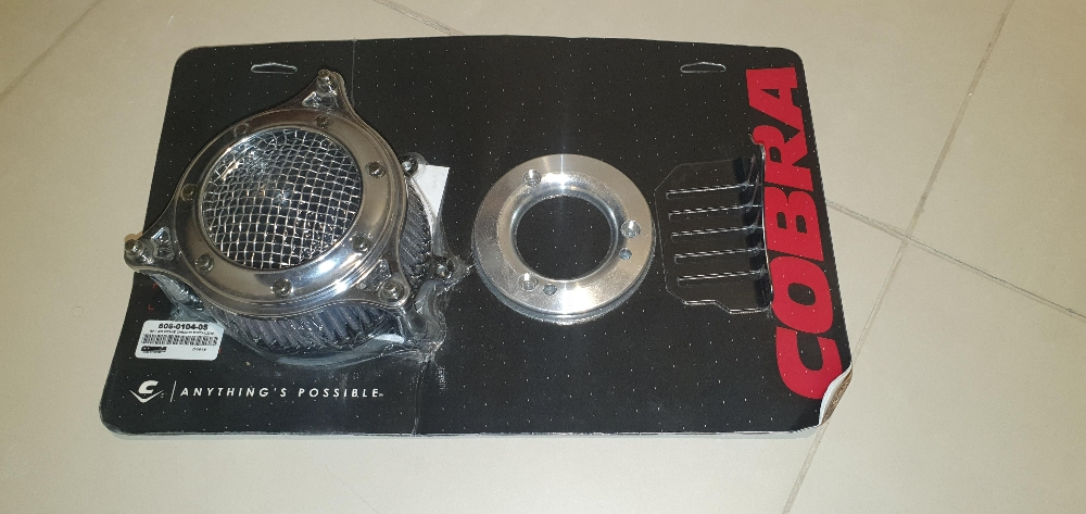 Cobra RPT Air Intakes Chrome - 4