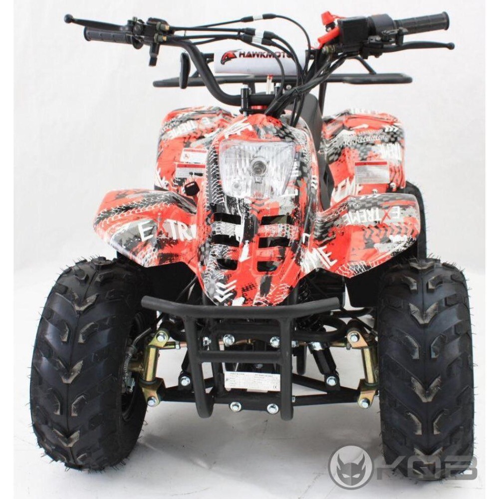 buggy 110cc - 2
