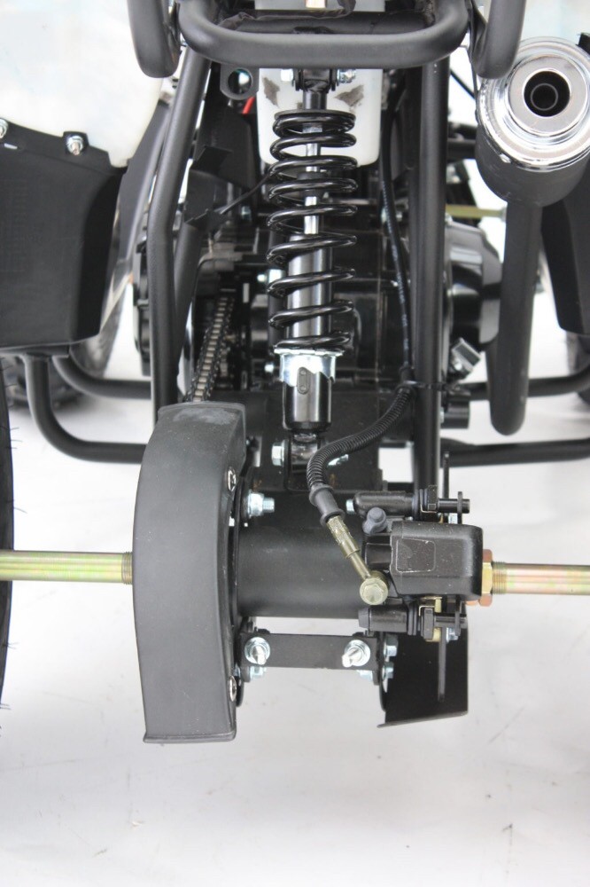 buggy 110cc - 3