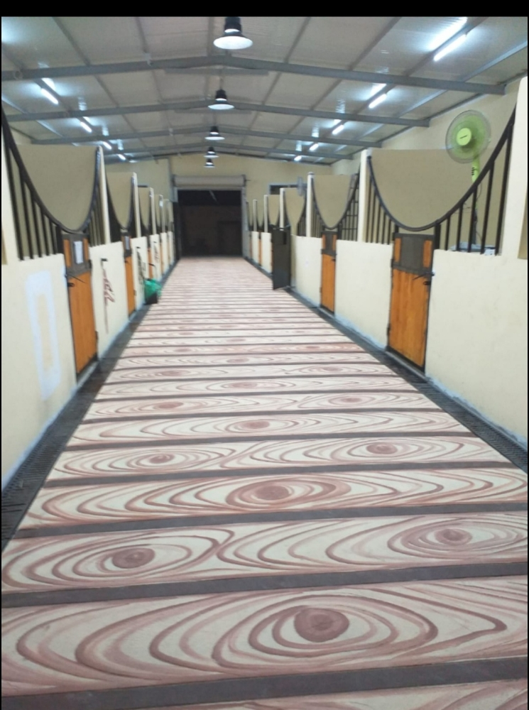 عمل إيواء للخيول - 1