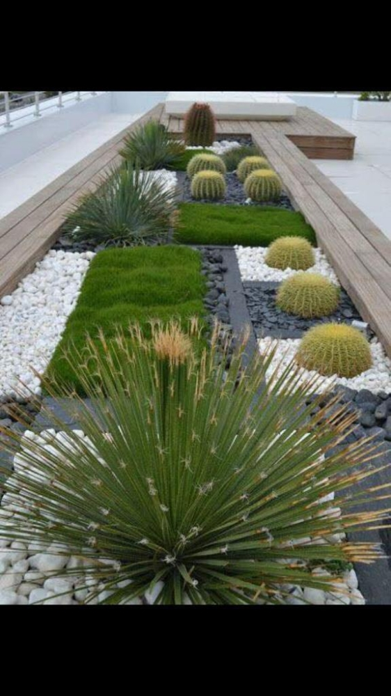 زراعه وديكوار - 2