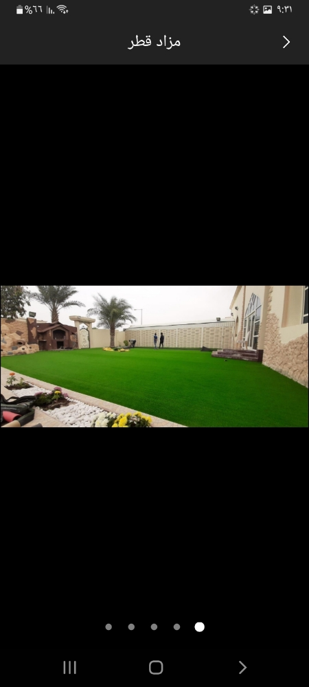 تقارب النخيل واحديق - 4