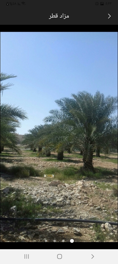تقارب النخيل واحديق - 3