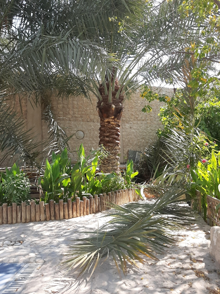 ابوسلطان - 4