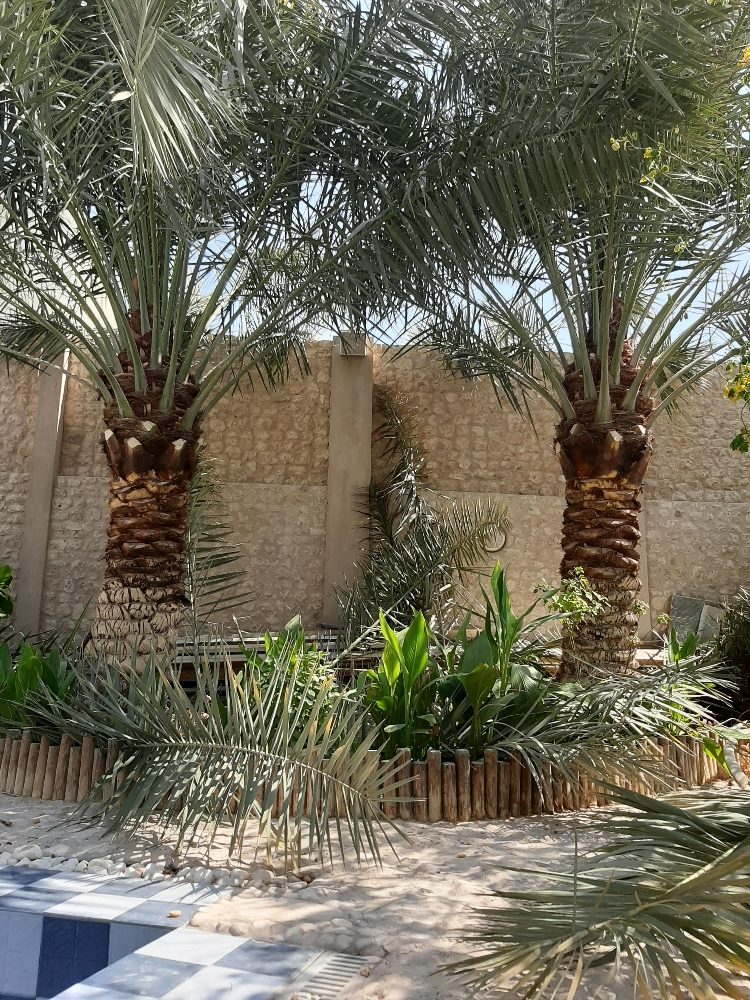 ابوسلطان - 6