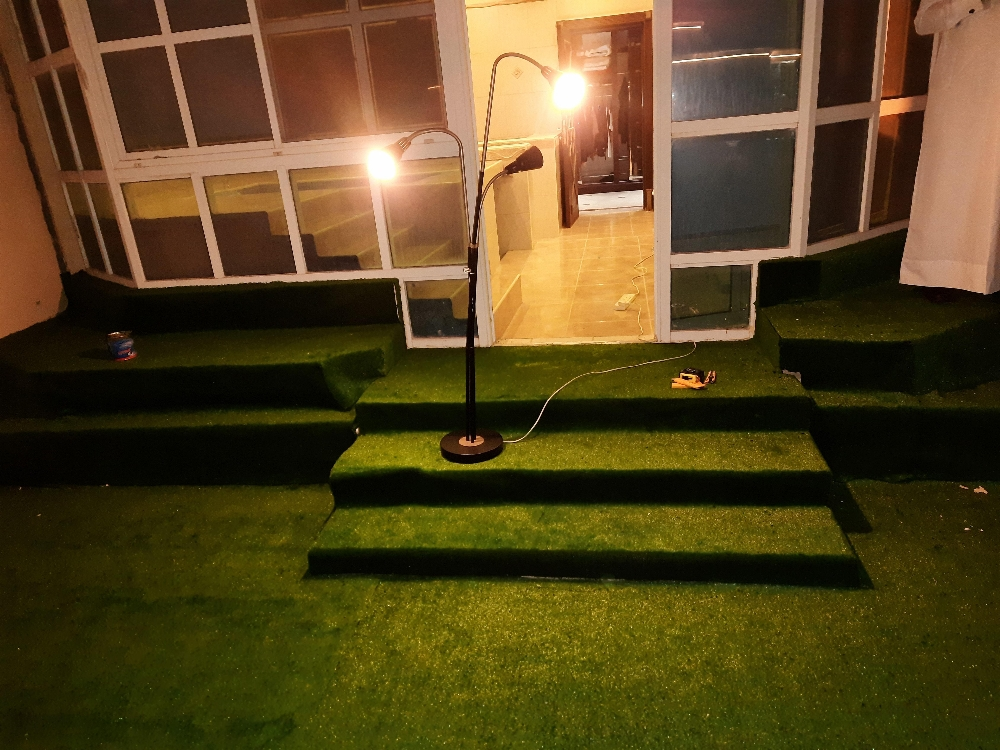سجادة خضراء - 13