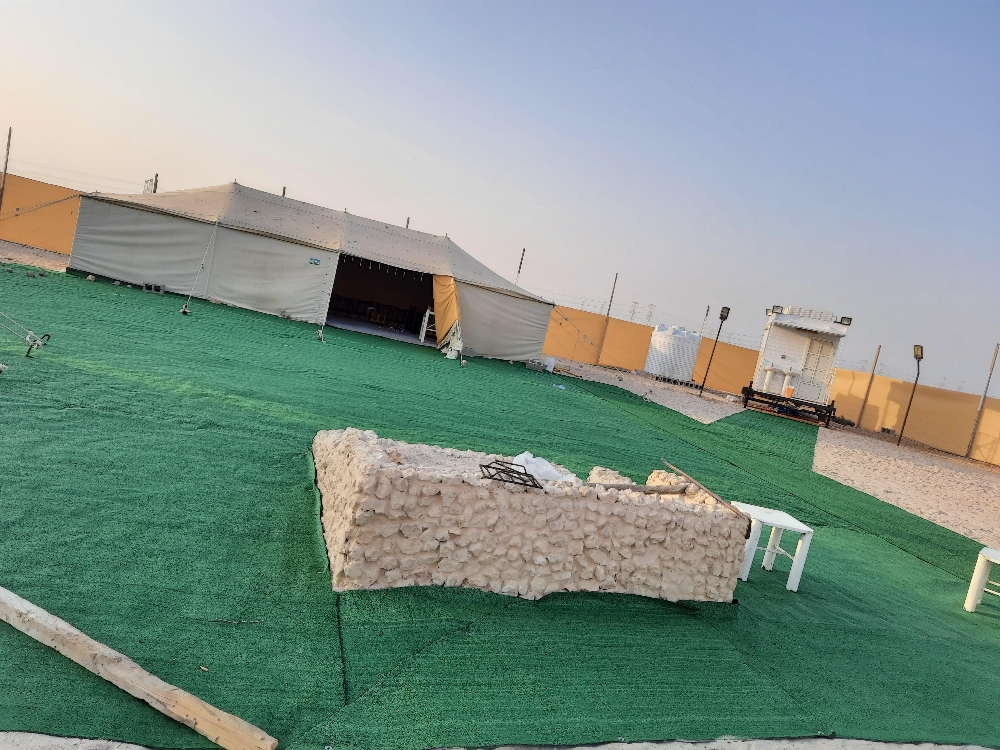 سجادة خضراء - 5