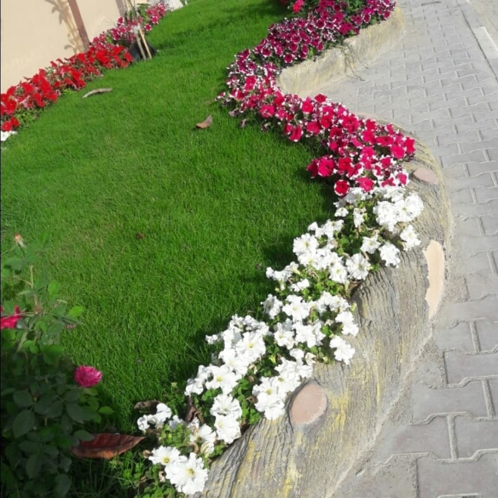 منسق حدائق ٥٥٥٦٧٨٤٨ - 2