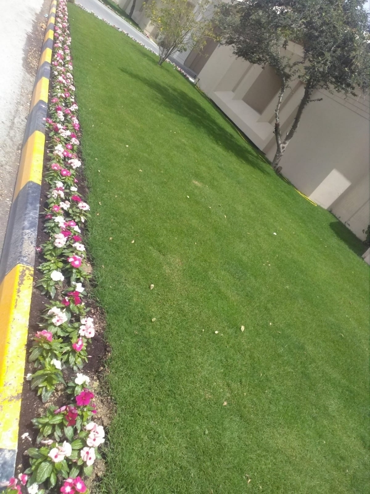 تنضيف وتنسيق الحدائق - 2