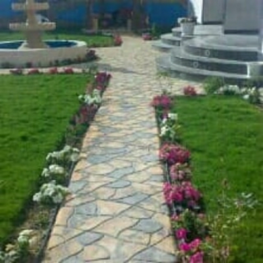 ورد وعشب. - 2