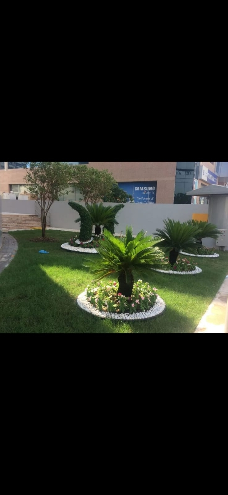 Garden decor and agriculture - 12