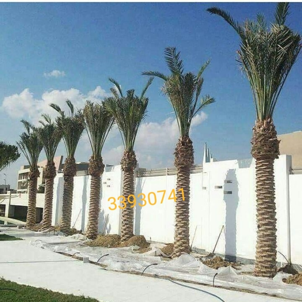 Garden decor and agriculture - 14