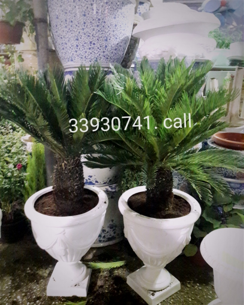 Garden decor and agriculture - 11