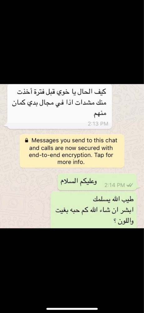 مشدات الجسم (بالكميه) - 10
