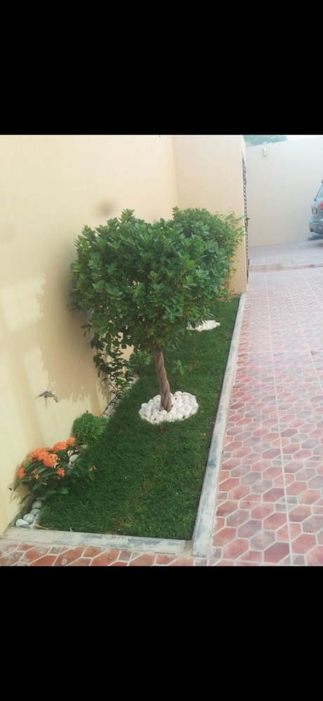 Garden decor and agriculture - 1