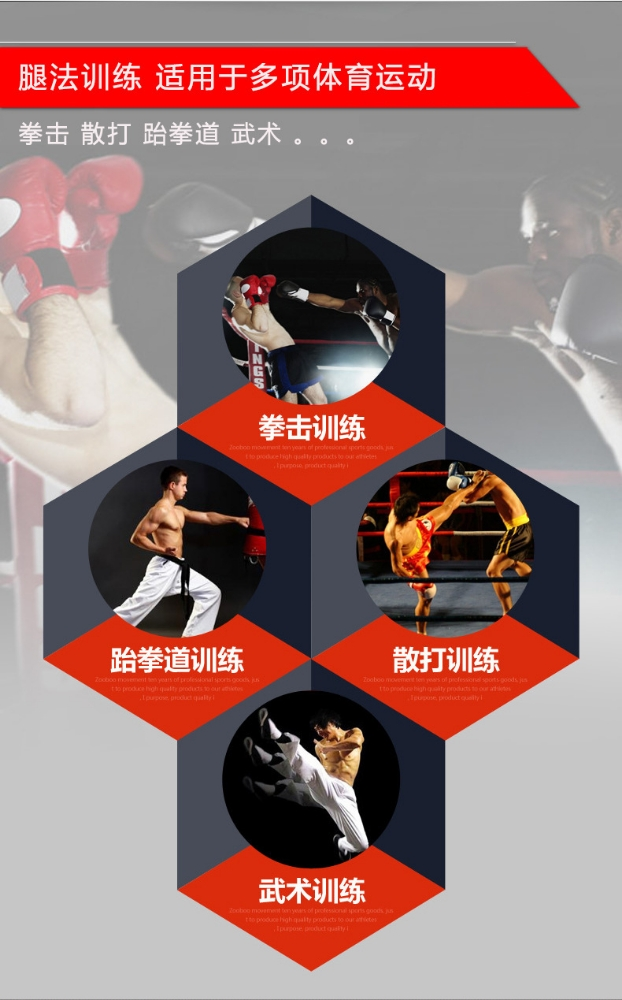 Taekwondo Foot Target Hand boxing - 2