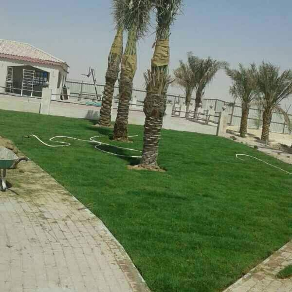 نقوم بزراعة وتنسيق الحدائق - 1
