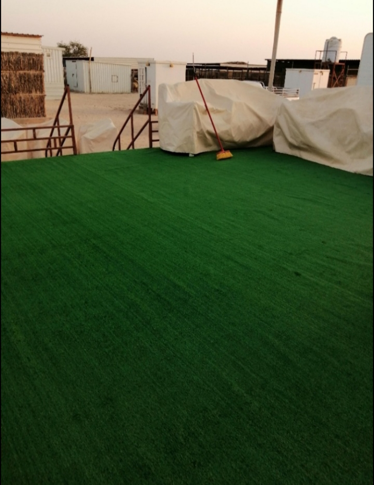 grass carfat - 1