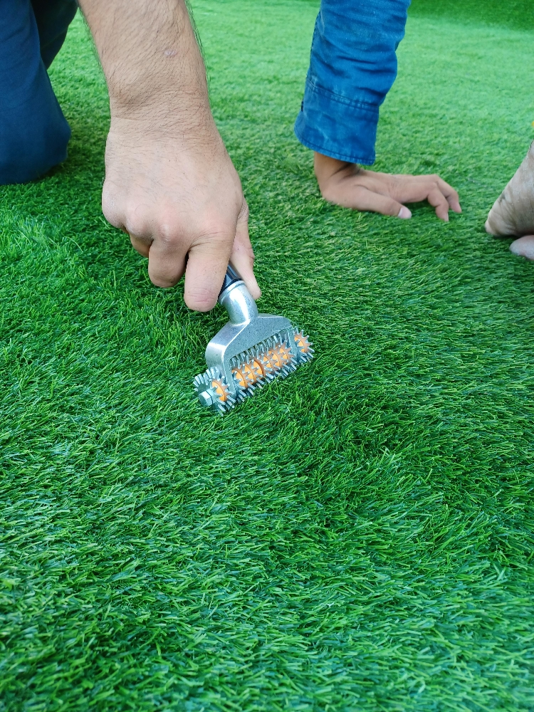 grass carfat - 12