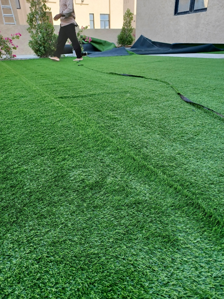 grass carfat - 11