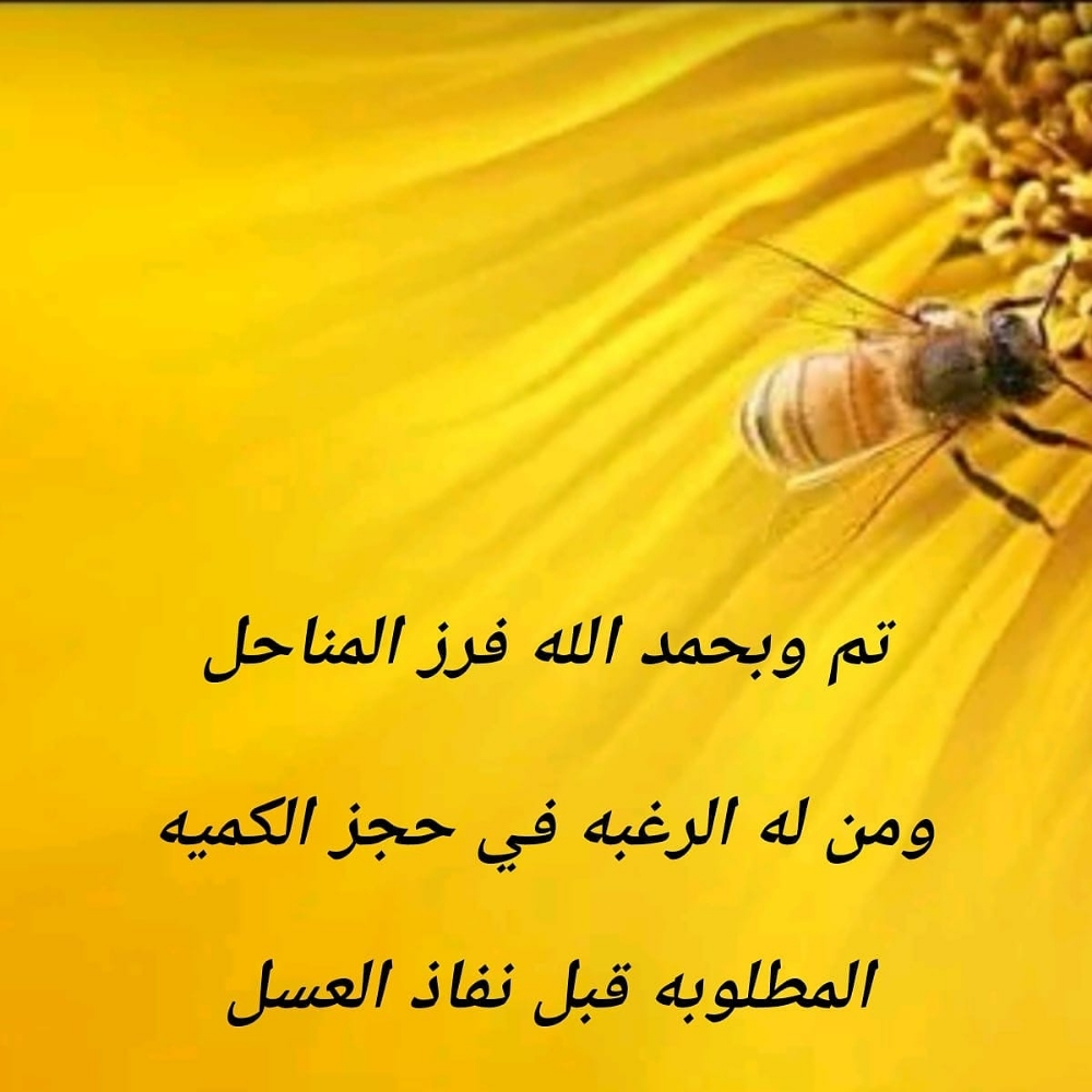 عسل انتاج قطري - 4