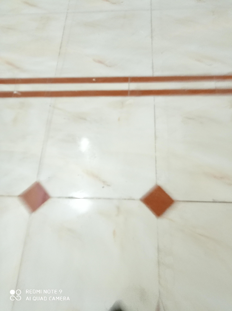 طارق صلاح - 6