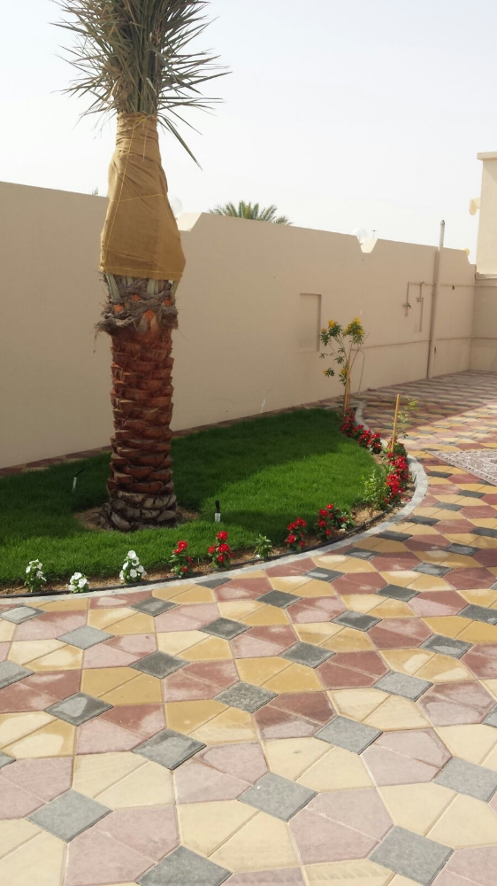 نخييل - 2