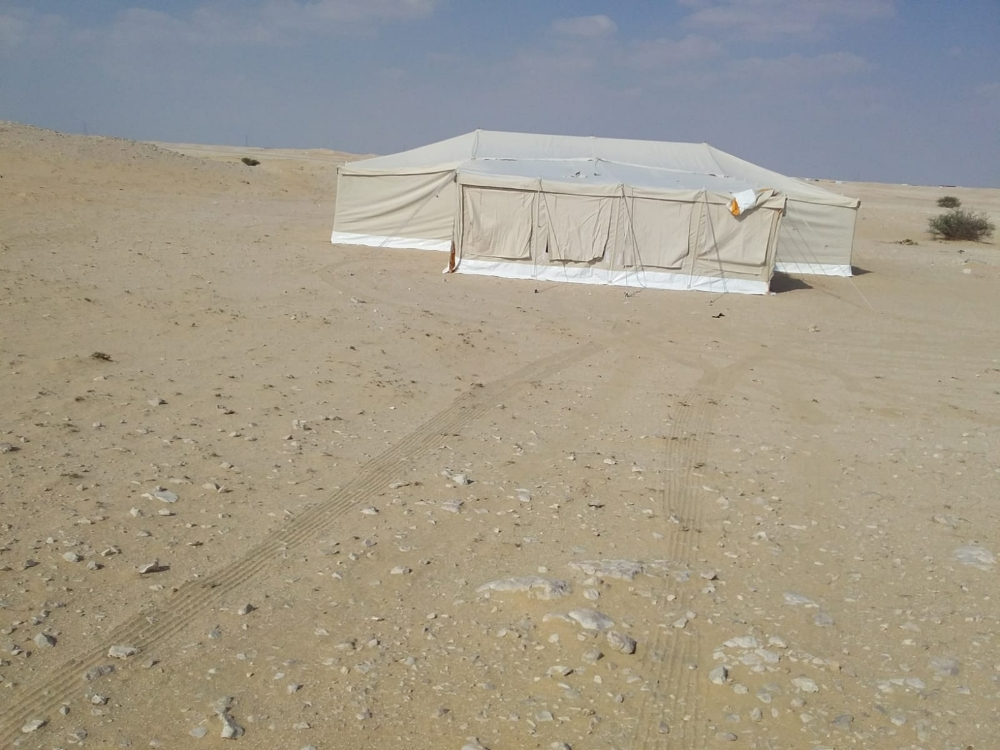 ٥على ١١ الربيع - 1