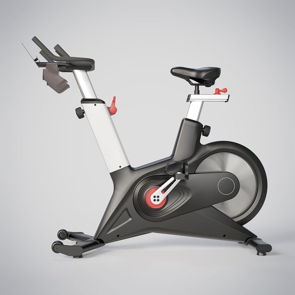 PROFESSIONAL INDOOR CYCLE BIKES — 1 - 2