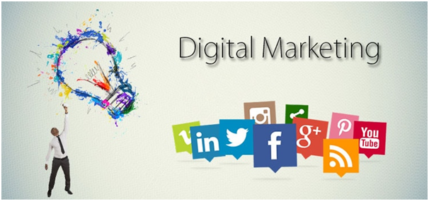 Website Designing  - 3