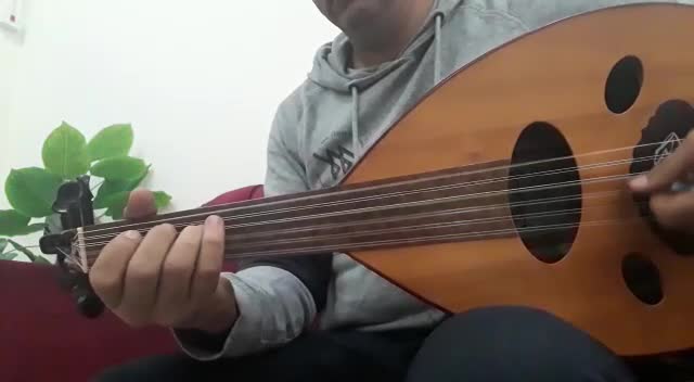 Oud and Violin teacher - 10