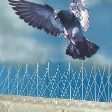 Bird Repellent Gel and Spike - 6