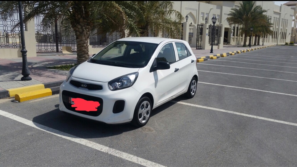 للإيجار اليومي - 2