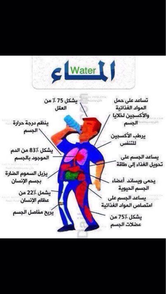 النسايم  - 3