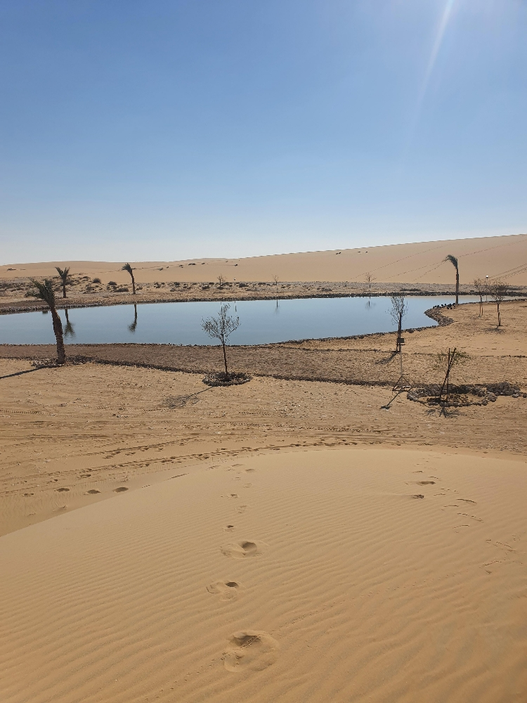 نقوم بعمل البرك الطبيعيه للمزارع - 11
