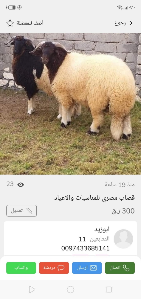 جزار مصري للمناسبات - 1