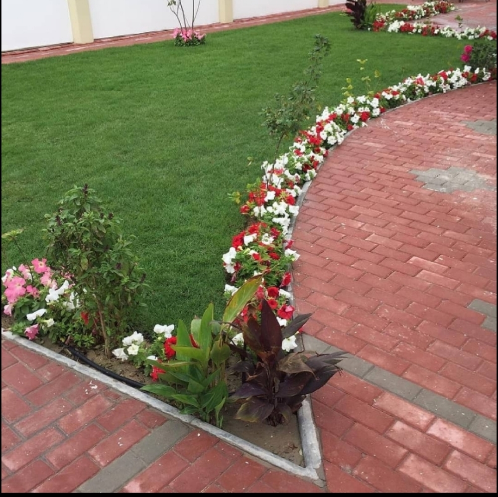 زراعه الحدائق - 9