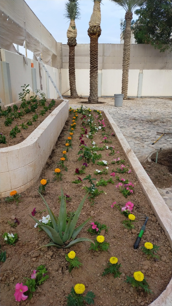 زراعه الحدائق - 2