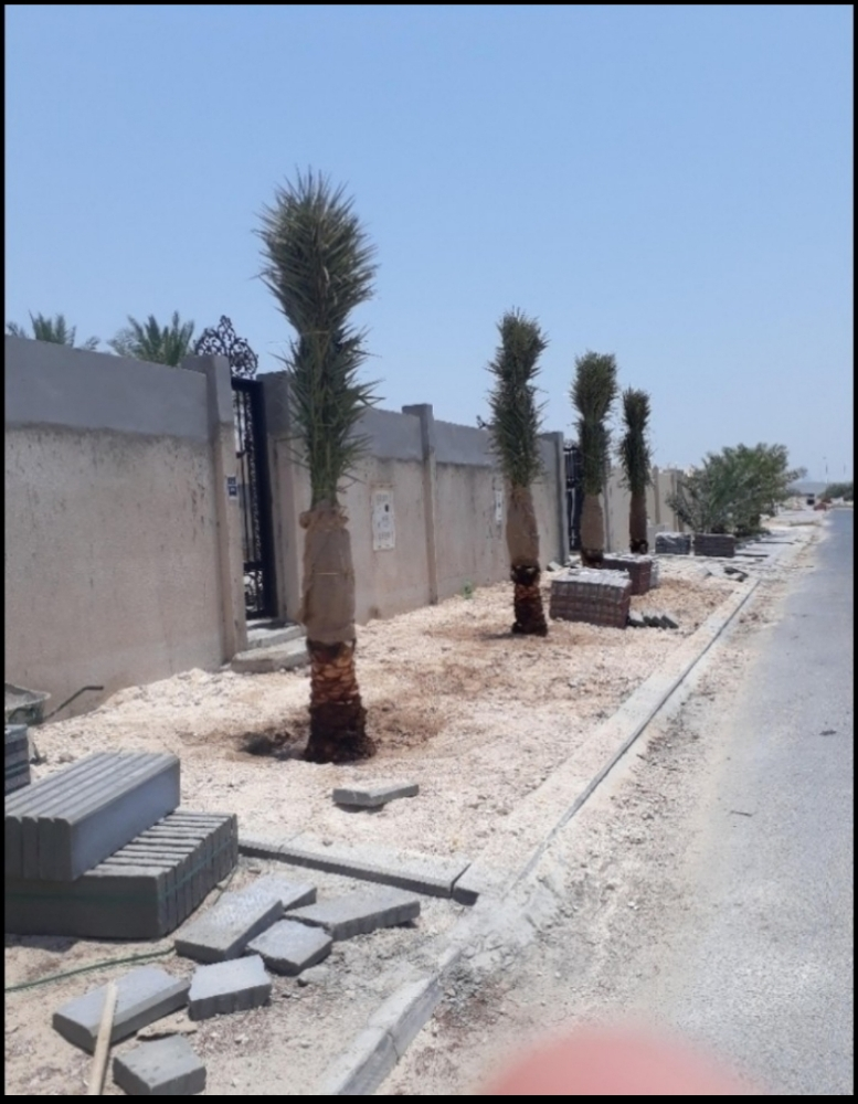 زراعه الحدائق - 8